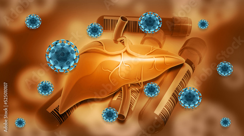Human liver and hepatitis virus. 3d illustration.. photo