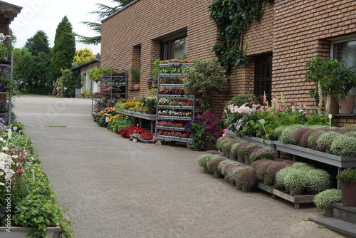Blumenauslage