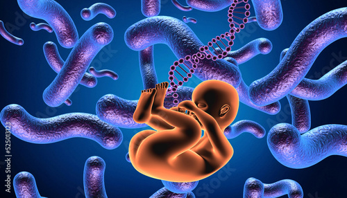 Human Fetus Medical concept . 3d illustration.