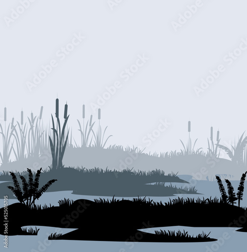 Obraz na płótnie Fog in swamp