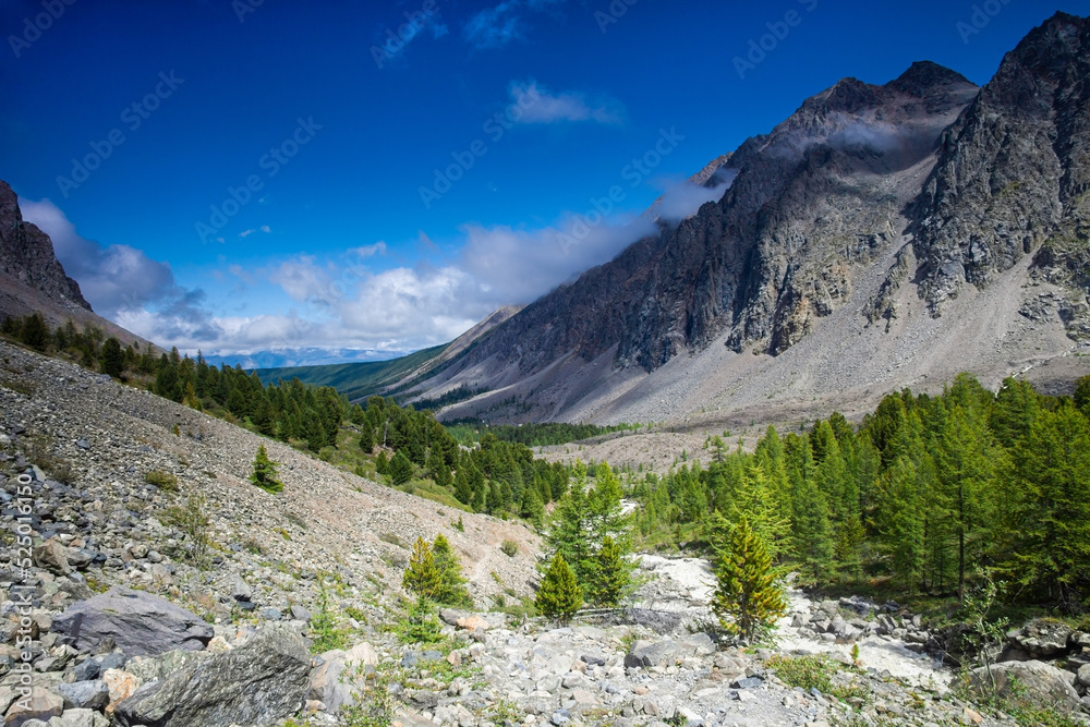  Mountain landscape in sunny weather