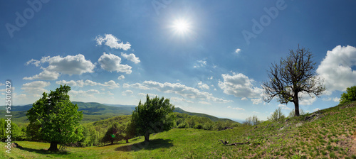Panorama with sun and green tree in mountain landscape