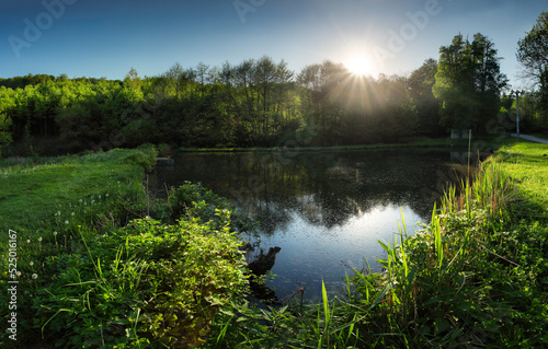 Lake with sun reflection in water near forest