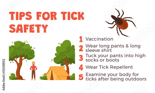 Ticks safety tips, mite bites prevention infographics, flat vector illustration on white background.