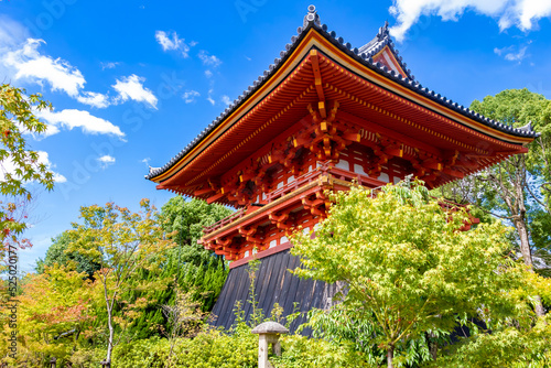 真夏の京都・仁和寺の金堂で見た、緑に囲まれる朱色の建物と快晴の青空