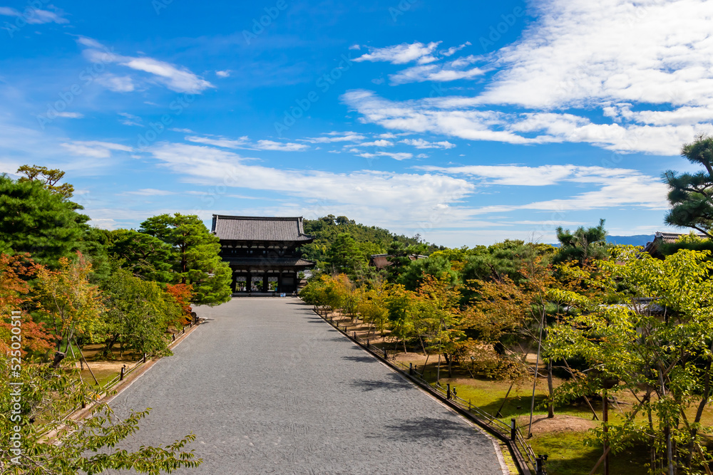 真夏の京都・仁和寺で、中門から見た仁王門周辺の風景と快晴の青空