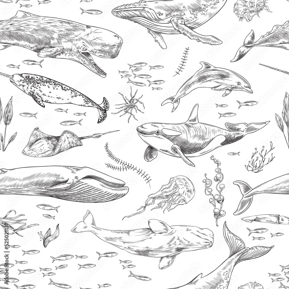 Seamless pattern with fish and marine animals, hand drawn vector illustration. Seamless pattern with fish and marine animals, hand drawn vector illustration.
