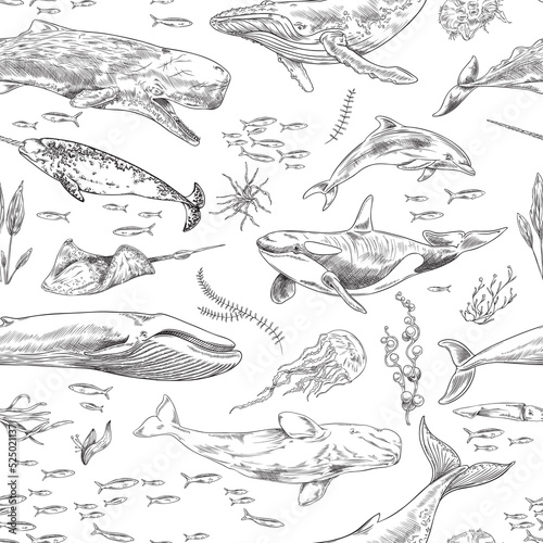 Seamless pattern with fish and marine animals, hand drawn vector illustration.