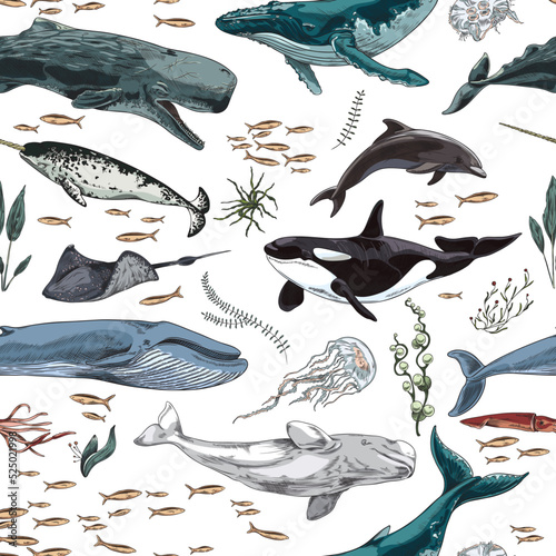 Seamless pattern with mammals marine animals flat cartoon vector illustration.