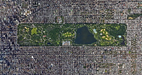 Canvas schilderij Central Park Mystiek bos in New York  © munimara