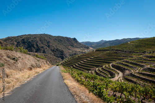 Estrada de asfalto rodeada por montanhas e vinhas num bonito dia de calor e céu azul photo