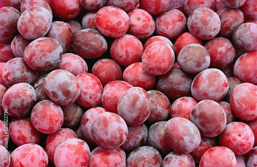 food fruit plums. Texture background of fresh plums