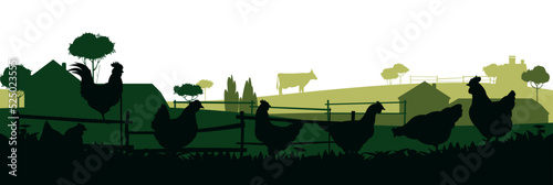 Chickens in pasture. Picture silhouette. Farm pets. Domestic poultry to get eggs. Rural landscape with farmer house. Isolated on white background. Vector