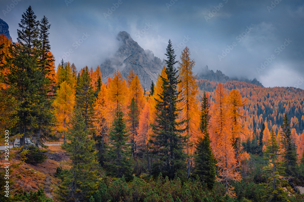 Gloomy autumn view of Tre Cime Di Lavaredo National Park with orange larch trees and huge peak on background. Dramatic morning scene of Dolomite Alps, Auronzo Di Cadore location, Italy. Gloomy autumn view of Tre Cime Di Lavaredo National Park with orange larch trees and huge peak on background. Dramatic morning scene of Dolomite Alps, Auronzo Di Cadore location, Italy.