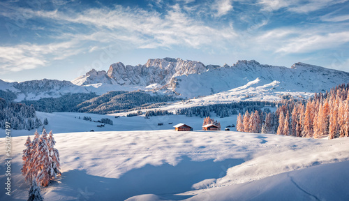 Canvas-taulu Snowy hills of Alpe di Siusi village