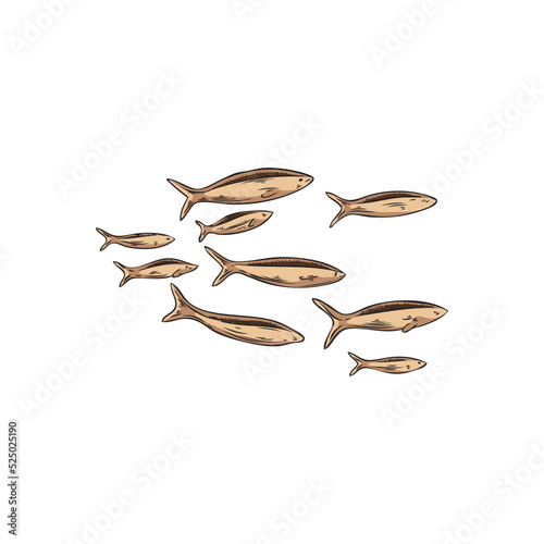 Shoal or school of fish swimming together, hand drawn sketch vector illustration isolated on white background.