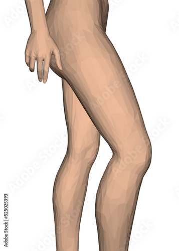 Low poly model of female legs and arms in a sexy pose isolated on white background. 3D. Vector illustration.