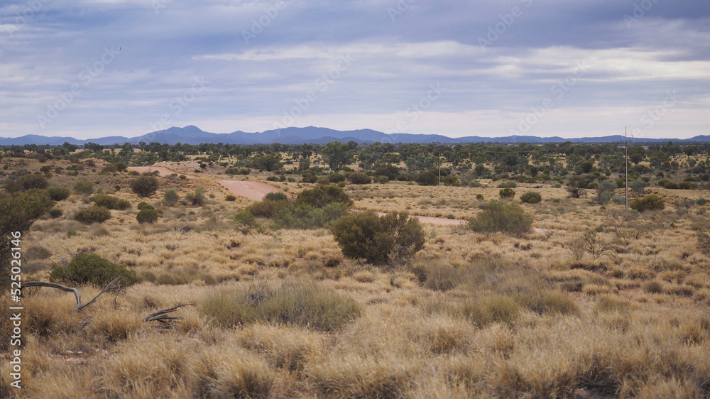 Australian outback landscape