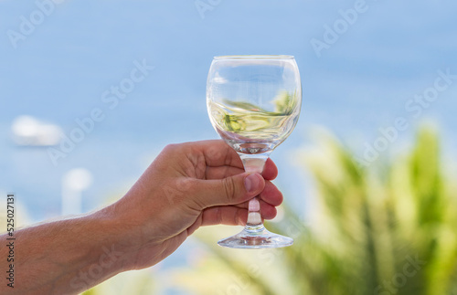 Empty wine glass in male hand on landscape background