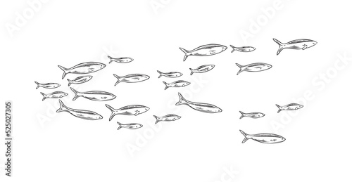 Hand drawn marine school of fish sketch style, vector illustration