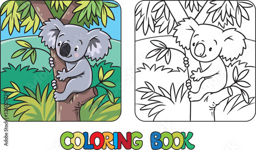 Koala on the tree. Kids coloring book photo