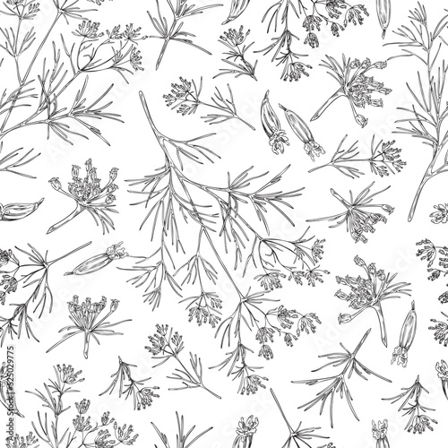 Tableau sur toile Cumin or caraway plant seamless pattern hand drawn sketch vector illustration