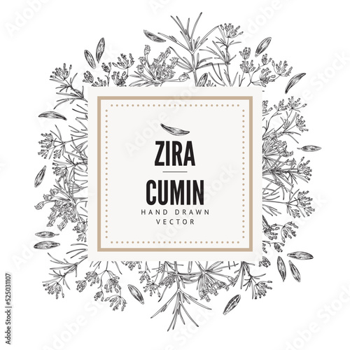Squared frame with hand drawn monochrome zira cumin plants and seeds