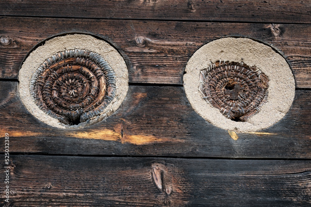 100 Schilfrohre Für Bienenhotel - 15cm Naturrohre Für Wildbienen