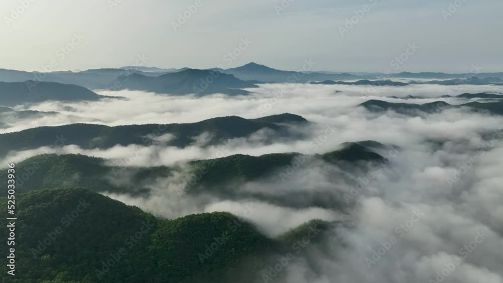 Landscape with a sea of clouds in the morning between the mountains. 운해, 안개, 아침 풍경. Landscape with a sea of clouds in the morning between the mountains. 운해, 안개, 아침 풍경.