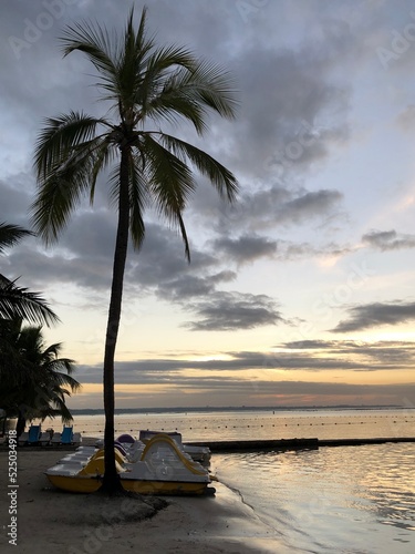 Beautiful sunset with calm water, blue sky and clouds, a tall palm and yellow catamarans in Boca Chica, Santo Domingo, La Caleta, Dominican Republic. Best Dominican landscape photos. Caribbean scenery