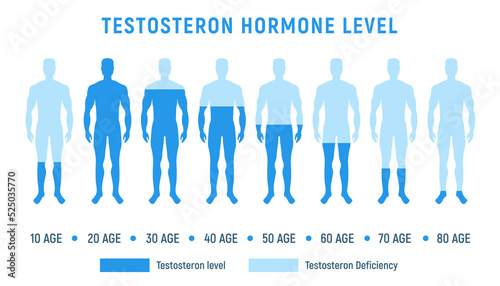 Testosterone level therapy hormone male balance science fertility illustration low level testosterone hormone level. photo