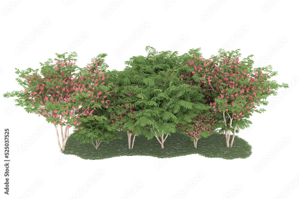 Naklejka premium Forest on transparent background. 3d rendering - illustration