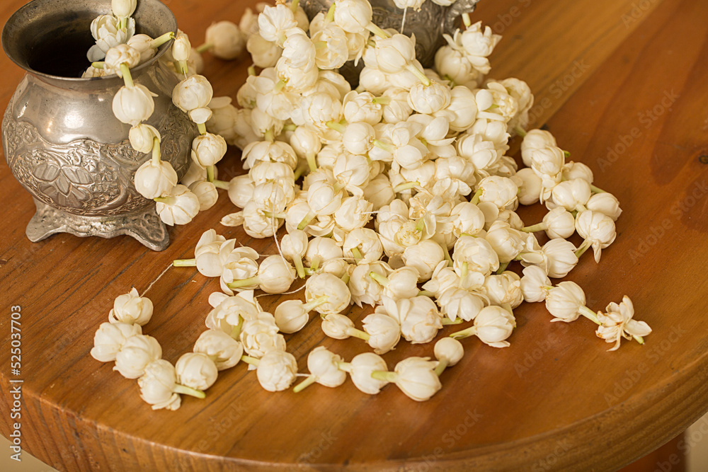 Jasmine Motia Flowers Decor Background Jasmine Motia Flowers Decor Background