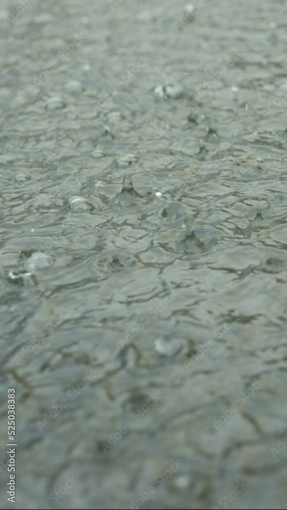 Close up of raindrops falling into puddle on the pavement. Heavy torrential rain in the city, Vertical video Close up of raindrops falling into puddle on the pavement. Heavy torrential rain in the city, Vertical video