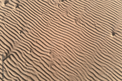 Sand texture with wave pattern. Desert sand background, top view