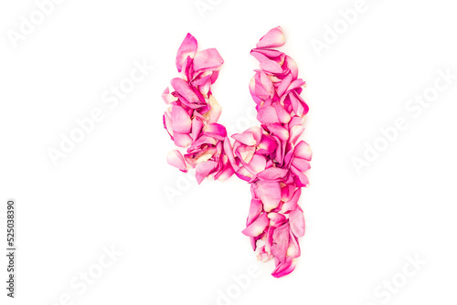 number 4 made from pink petals rose. Pink roses. Element for decoration.