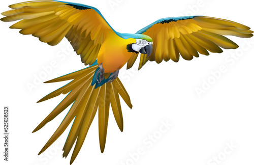 Flying blue and yellow macaw parrot isolate on white. photo