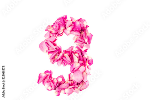 number 9 made from pink petals rose. Pink roses. Element for decoration.
