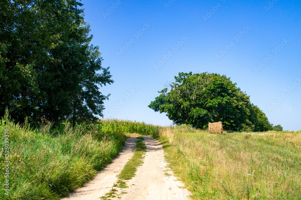Beautiful summer rural landscape with a tree, a road and a haystack