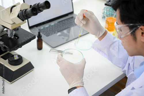 Handsome Asian male scientist adjust specimen in a Petri dish in the laboratory. close-up