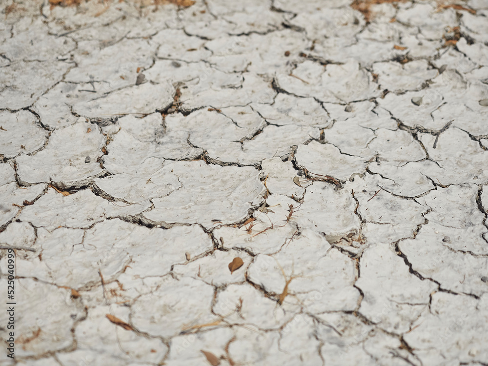 bone dry desert ground showing cracks in the white hard soil