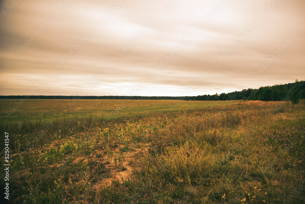 Obraz premium krajobraz toruń