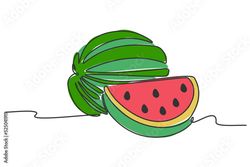 simple flat color continuous one line drawing of watermelon fruit. Vector illustration for natural and healty living design concept