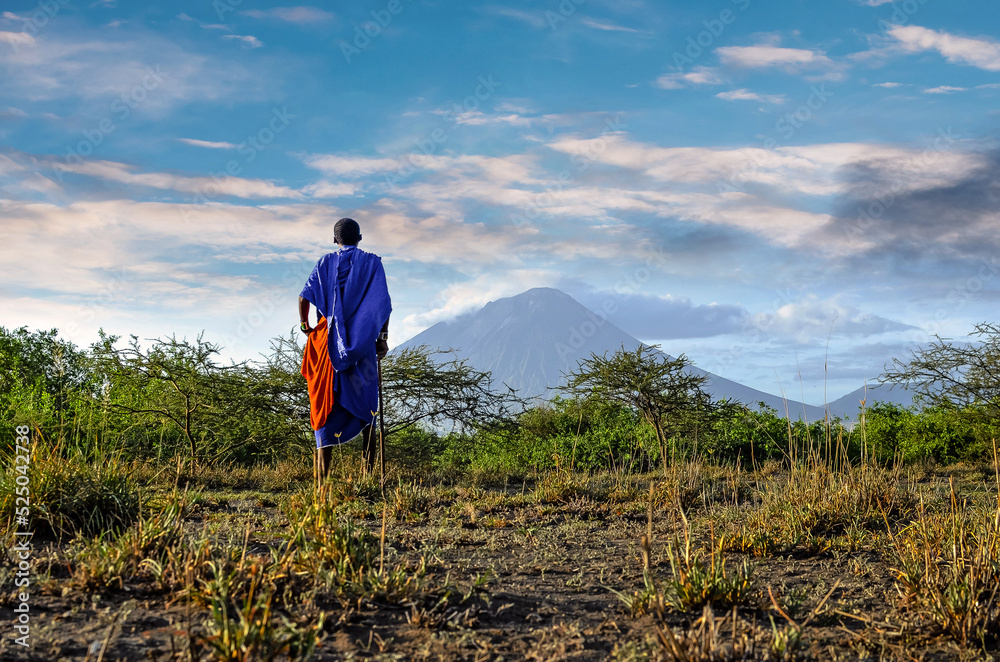Masai close-up looking at the holy volcano of Ol Doinyo Lengai in Tanzania - obrazy, fototapety, plakaty 