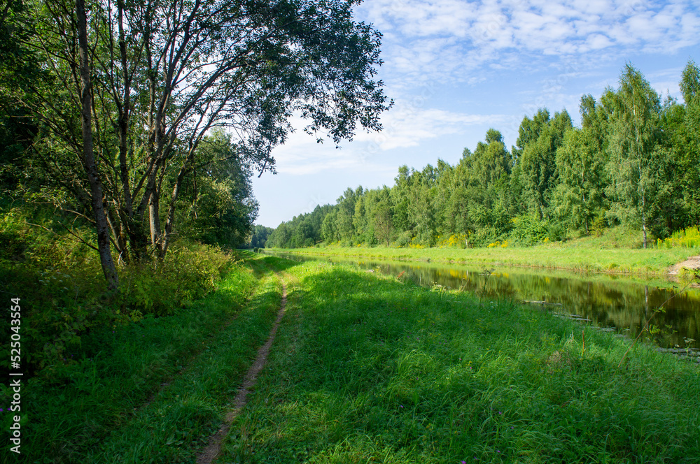 Obraz premium Green summer natural landscape with green grass, river and trees. Design background