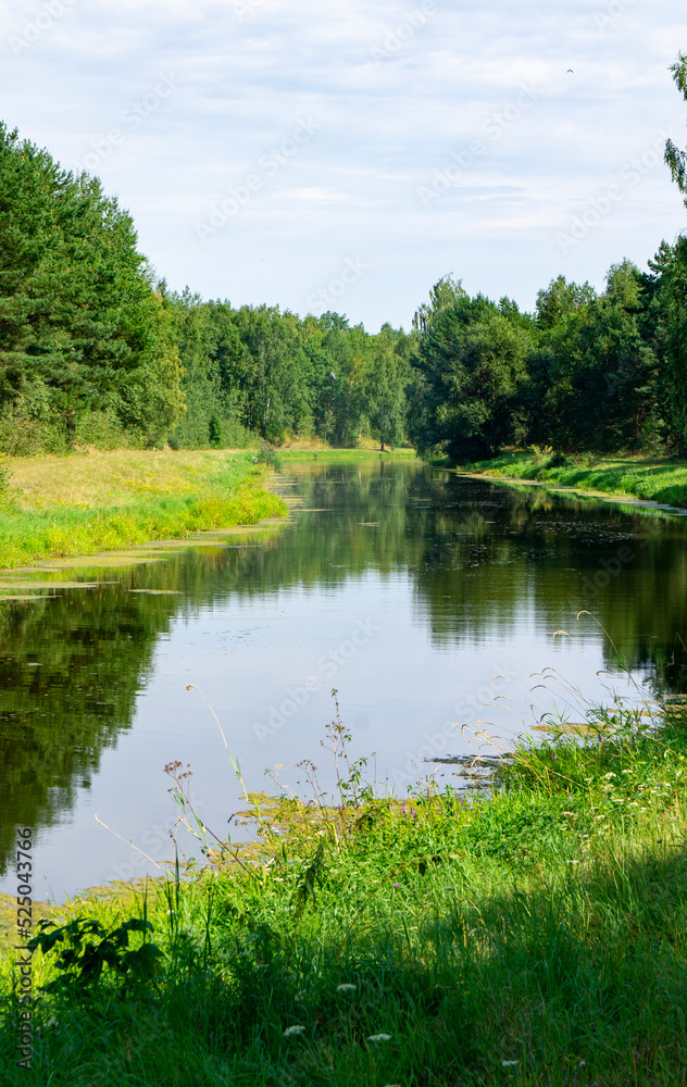 Green summer natural landscape with green grass, river and trees. Design background Green summer natural landscape with green grass, river and trees. Design background