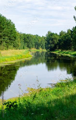 Green summer natural landscape with green grass, river and trees. Design background