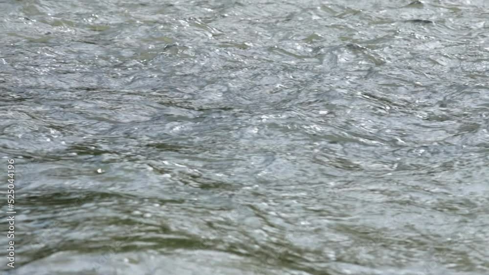 River water - close up view 1