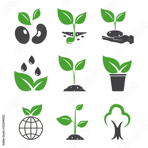 Leaf. Plant, sprout icon vector illustration design