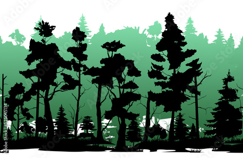 Forest thickets. Coniferous forest with firs and pines. Landscape with trees and grass. Silhouette picture. Isolated on white background. Vector.